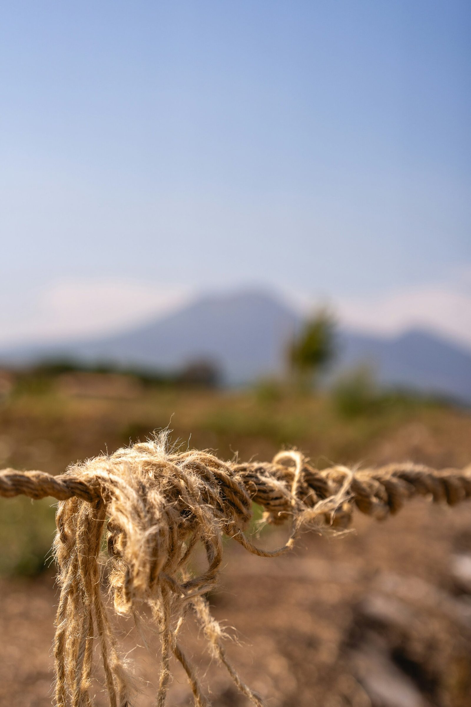 Hemp and Jute Natural Fiber